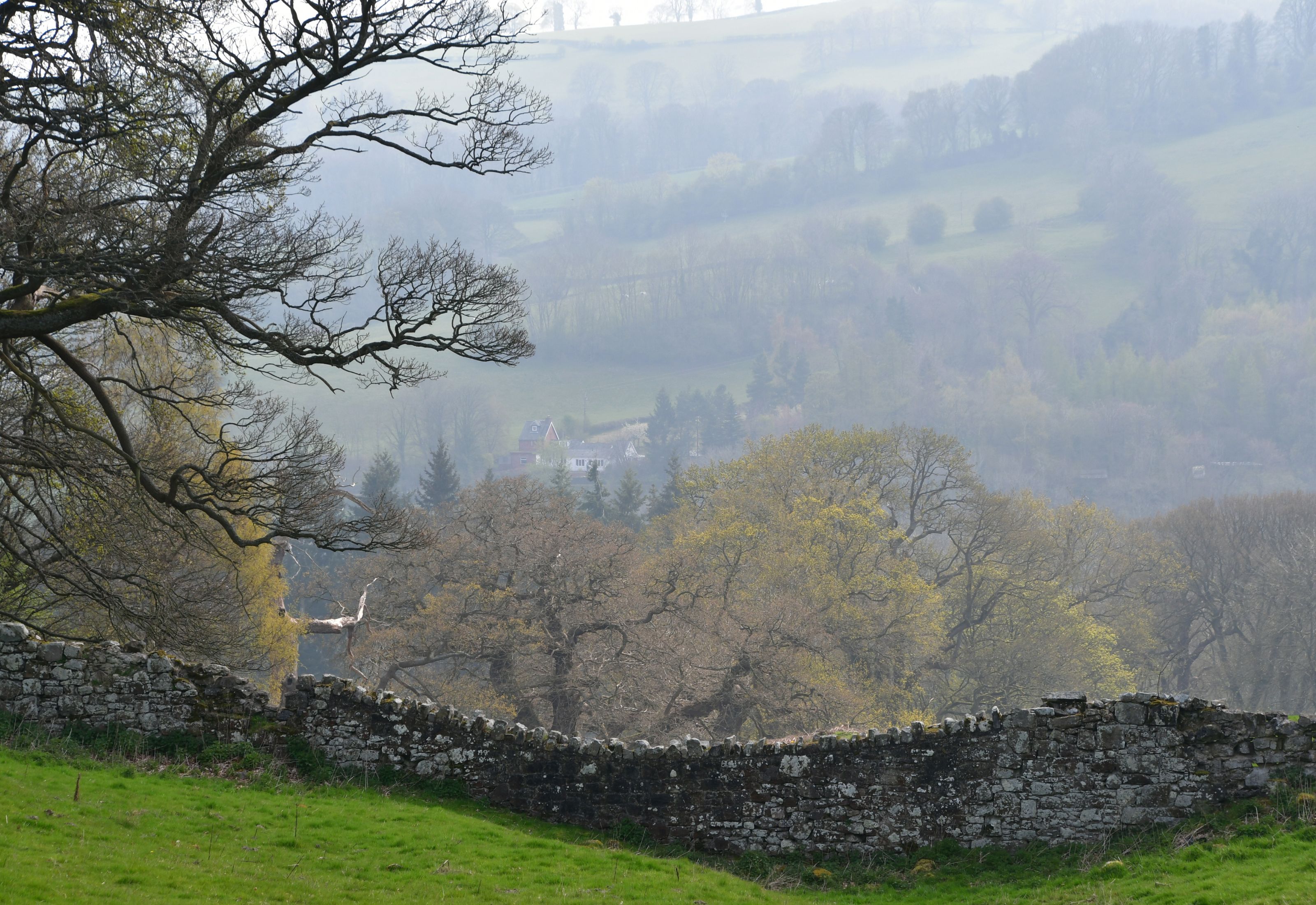 offas dyke