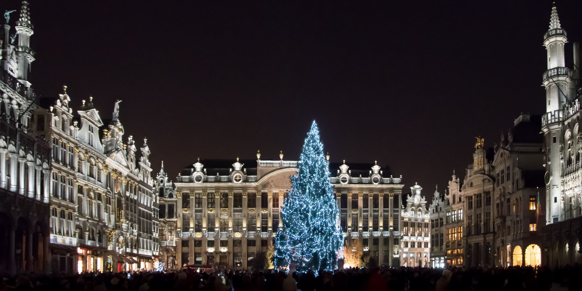 Brussells square with Christmas tree at night